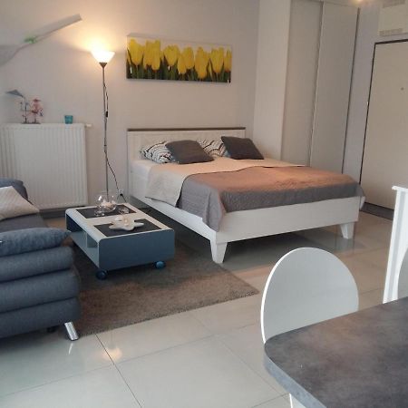 Gracja Horyzont-Apartament Z Parkingiem ミエンジズドロイェ エクステリア 写真
