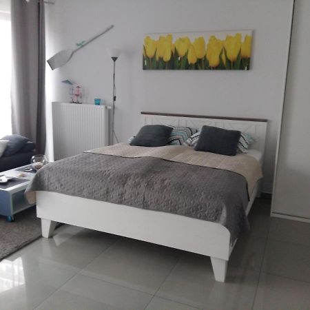 Gracja Horyzont-Apartament Z Parkingiem ミエンジズドロイェ エクステリア 写真