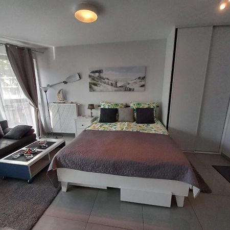 Gracja Horyzont-Apartament Z Parkingiem ミエンジズドロイェ エクステリア 写真