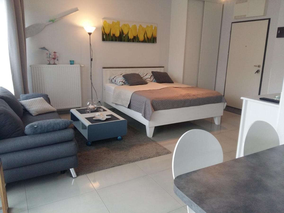Gracja Horyzont-Apartament Z Parkingiem ミエンジズドロイェ エクステリア 写真