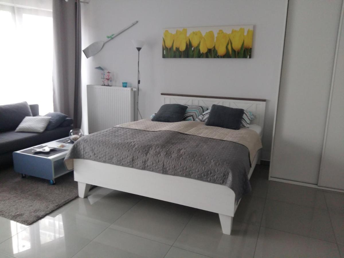 Gracja Horyzont-Apartament Z Parkingiem ミエンジズドロイェ エクステリア 写真